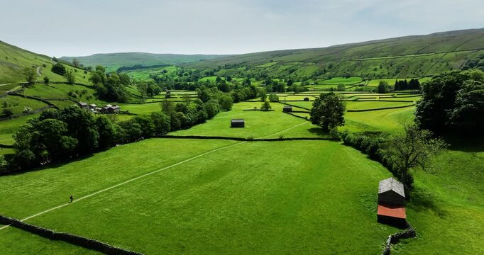 Flying above wildflower meadows