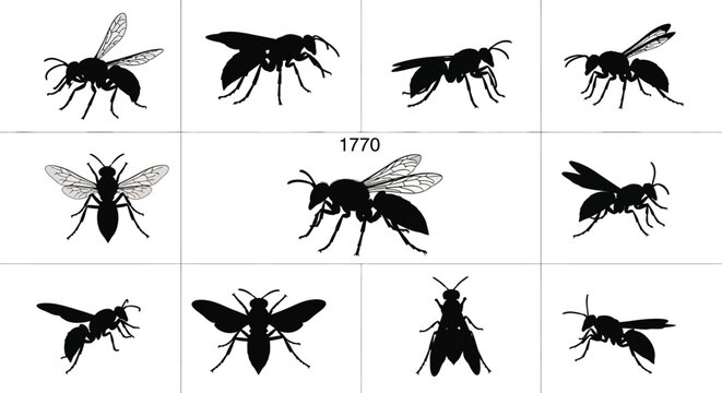 Black wasp silhouettes collection, set of 11 stinging insect vector icons, isolated hornet and bee graphic elements for nature and pest control design