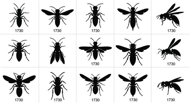 Black wasp silhouette icons set, 15 insect vector elements, stinging hornet and bee graphics, minimalist pest control and nature symbols
