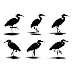 Fototapeta premium Great blue heron silhouette set, 6 bird vector elements in various standing poses, black crane and egret icons for nature and wildlife design