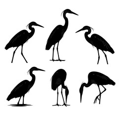 Obraz premium Heron bird silhouette collection, black crane and egret vector set, 6 elegant stork icons, minimalist wildlife animal graphics for nature design