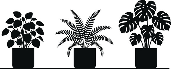 Potted house plants black silhouette vector illustration set, monstera fern and pilea © VectoPro