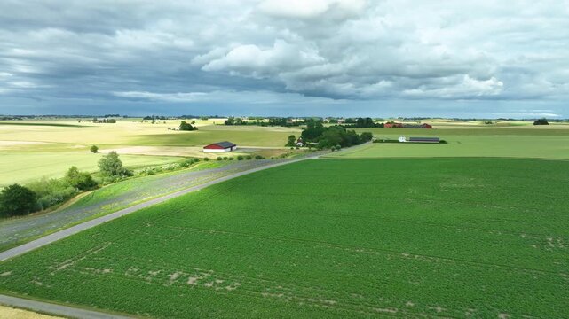 Aerial view flying over lush green farmland fields