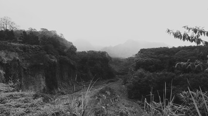 Naklejka premium Monochrome misty mountain valley background with dense forest, dry river channel, soft haze, and dramatic natural landscape depth.
