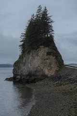 Breathtaking and impressive panoramic scenic view of Icy Strait Point Hoonah, AK coast with lush mountain vegetation and trees during summer Last Frontier cruise with distant mountain range glaciers © Tamme Wichmann