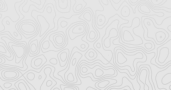 Abstract white topographic contour line background pattern