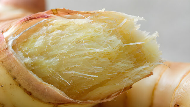 Macro shot of fibrous fresh galangal ginger root texture