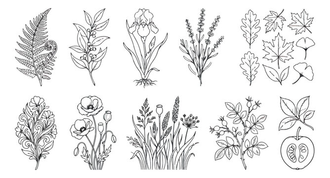 Minimalist botanical line art collection, hand drawn floral sketches and wild leaves vector set, elegant black and white garden plant illustrations
