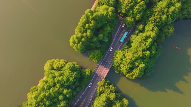 Top-down aerial footage of Yinxiu Bridge at West Lake Hangzhou, tree-lined lakeside road surrounded by green lake water, cars driving on scenic lakeside highway, World Cultural and Natural Heritage si