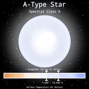 A-Type Spectral Class Star Infographic with Stars Example and Surface Temperature Scale in Bar Chart &ndash; OBAFGKM Stars Infographic