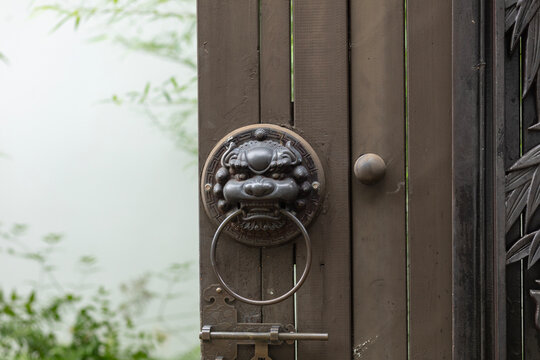 Close-up of a traditional Chinese brass lion door knocker on a dark wooden gate with blurry bamboo background