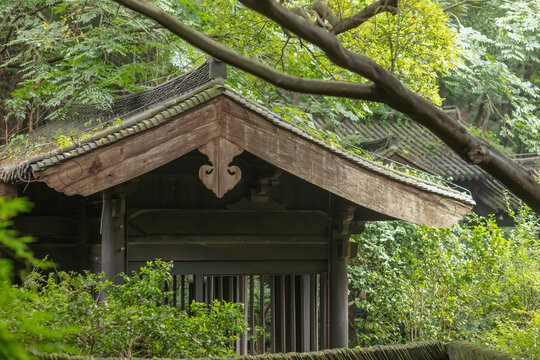 Traditional Chinese wooden architecture roof detail of an ancient pavilion nestled in a lush green forest