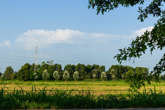 View Across Vettabbia Park Near Chiaravalle Abbey, Milan, Italy