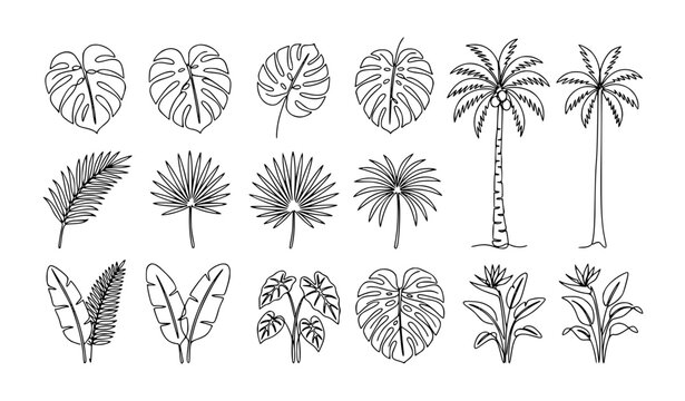 Minimalist tropical foliage and palm tree one line vector icon set editable outline EPS illustration