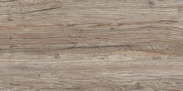 texture of wood background
