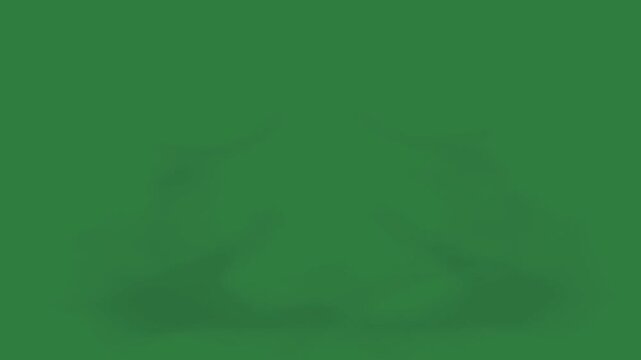 Firework on it an image of tree in the middle black logo isolated on green screen background