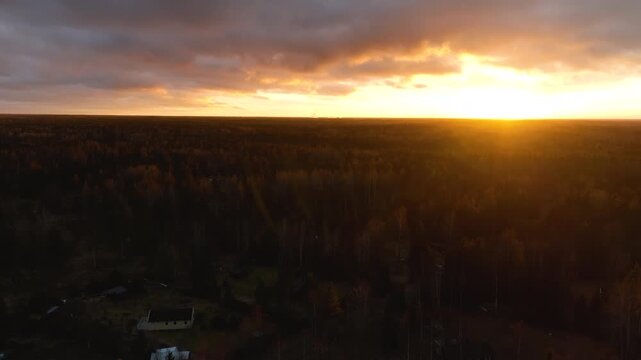 Aerial flight over autumn forest at sunset