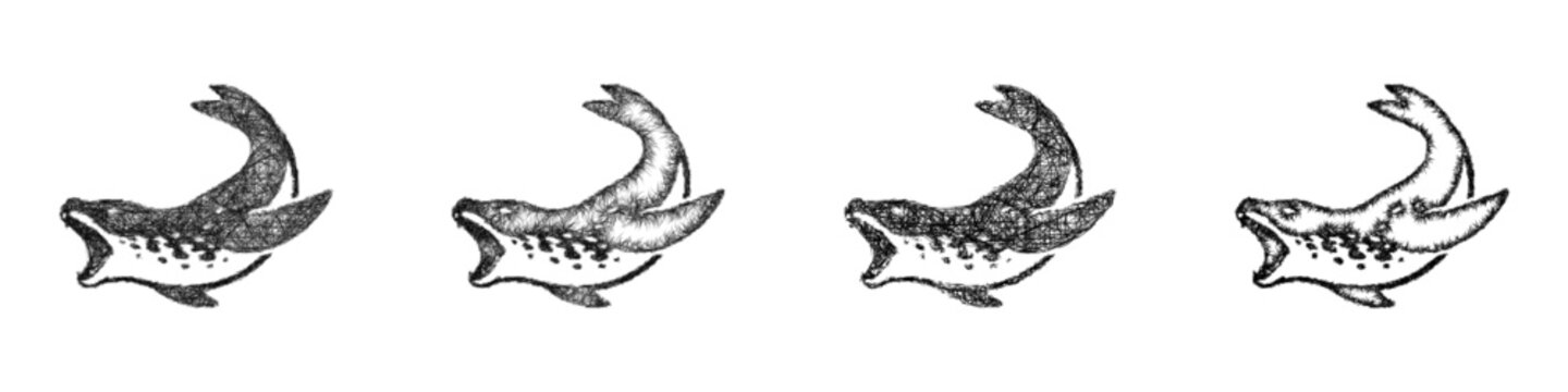 Sketch leopard seal logo design set