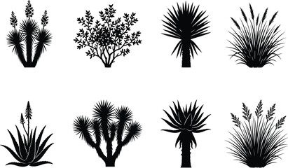 Set of black silhouettes featuring desert plants, succulents, ornamental grasses, and arid landscape vegetation © MD JAHID
