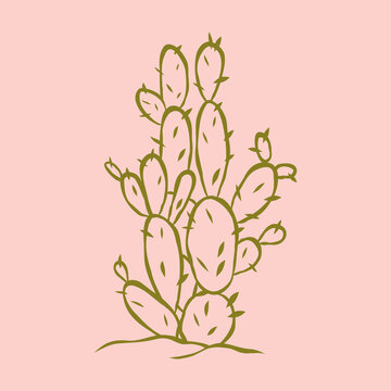 Hand-drawn prickly pear cactus vector illustration in doodle style. Desert succulent is perfect for botanical, western, nature, travel, and southwest-themed designs.