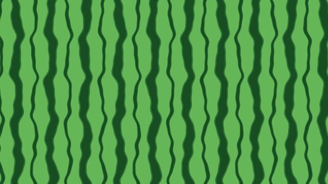 4k seamless loop watermelon rind pattern motion background with wavy green stripes