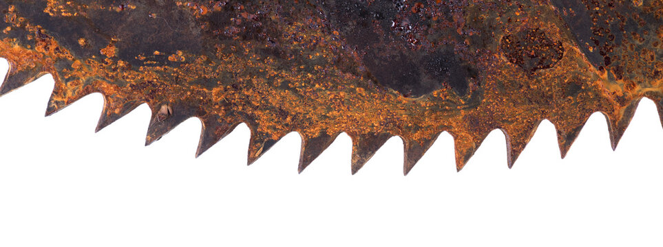Old rusty saw blade isolated on white background