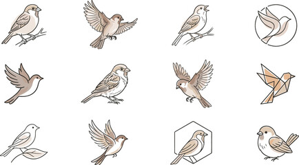 Bird vector set icon illustration line art design elements featuring sparrows in flying and perched poses © sumi