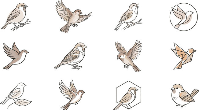 Bird vector set icon illustration line art design elements featuring sparrows in flying and perched poses