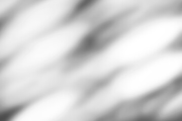 Fototapeta premium abstract botanical shadow overlay, soft leaves silhouette on white wall, natural window light background
