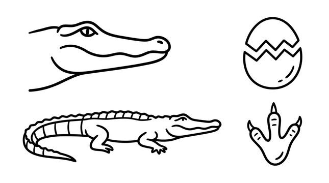 Alligator Line Art Icon Set with Egg and Footprint