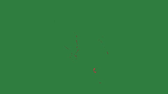 Red dot on it an image of black drawing man ' s face orange fish fire in the middle isolated on green screen background