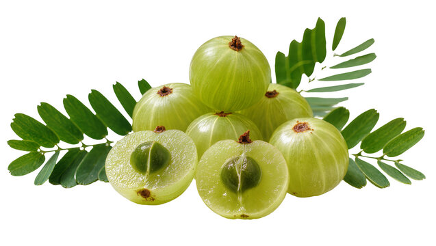 Isolated fresh green Indian gooseberry fruits with leaves, cut halves showing pulp and seed