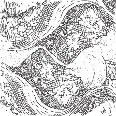 Obraz premium Illustration vague paysage cartographie avec motifs abstraits noir et blanc modernes, design contemporain fluide, Formes diverses sur fond clair, Vecteur
