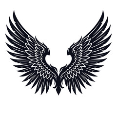 Fototapeta premium A pair of detailed black bird wings isolated on white background