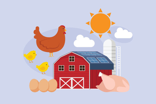 Sustainable Poultry Farm with Solar Powered Barn 2d flat vector illustration