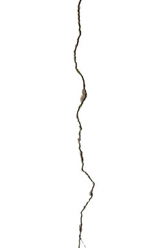 realistic cracks scratch grunge overlay effect cement texture background. creative design element. transparent background. PNG file. Dirty grunge texture. old worn overlay distressed background.