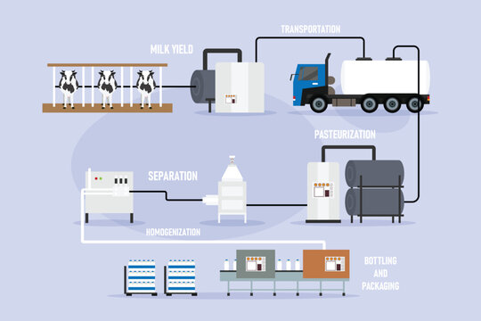 Industrial Milk Processing and Dairy Production Line Infographic Diagram 2d flat vector illustration
