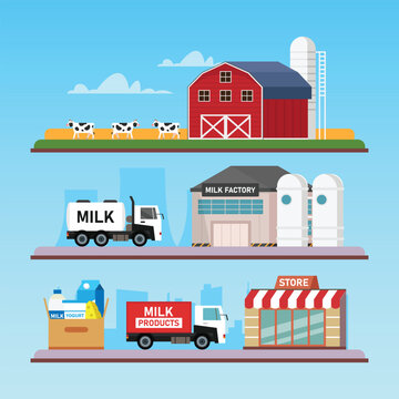 Milk Production and Supply Chain 2d flat vector illustration