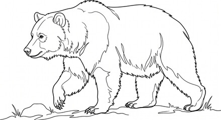 bear line art © PIxelfly