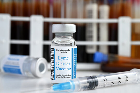 Lyme Disease Vaccine in a medical setting 