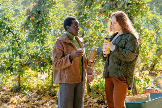 Thoughtful diverse women holding hot drinks in apple orchard on autumn harvest day