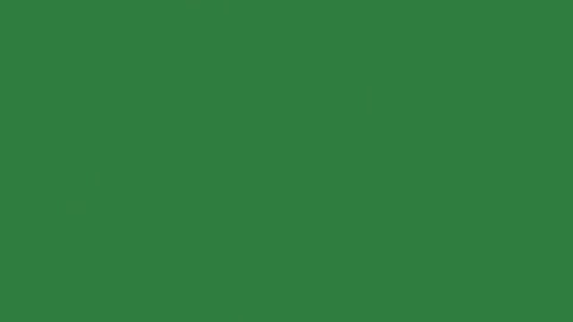 White border and black screen an orange image of yellow arrow red on it fire letters bunch carrots two deers isolated on green screen background