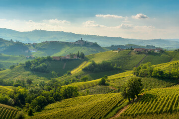 Obraz premium Langhe Vineyards and Castiglione Falletto Village, Piedmont