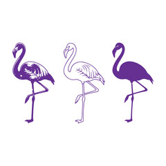 Obraz premium Three purple flamingo silhouettes in different styles, including solid, outline, and textured, isolated on a white background