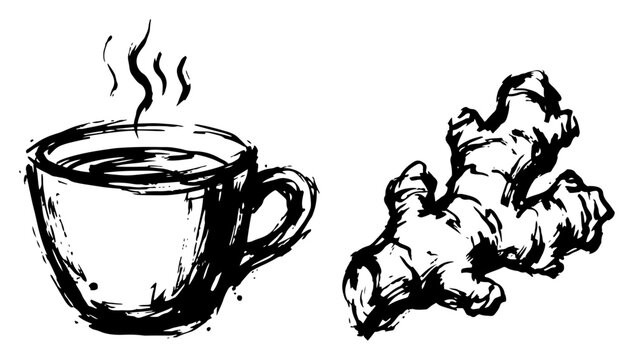 Cup of hot tea and ginger root in hand drawn ink sketch style