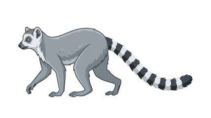Gray husky dog with wagging tail walking on white background. © adobe
