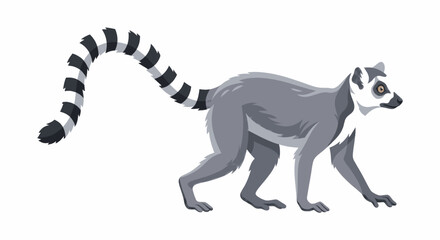 Illustration of a black and white striped lemur walking on a plain background. © adobe