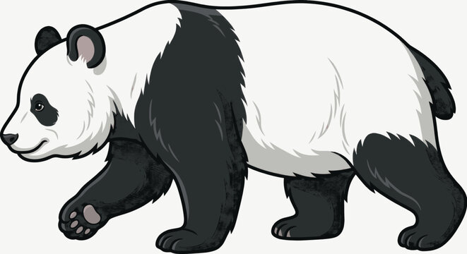 Cute cartoon panda walking on all four legs in black and white.