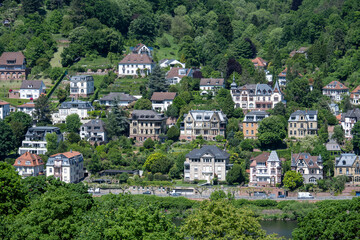 Fototapeta premium Hillside villas above the Neckar in Heidelberg