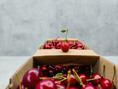 Fresh red cherries in cardboard punnet with one fruit standing out